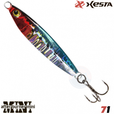 Xesta After Burner Mini